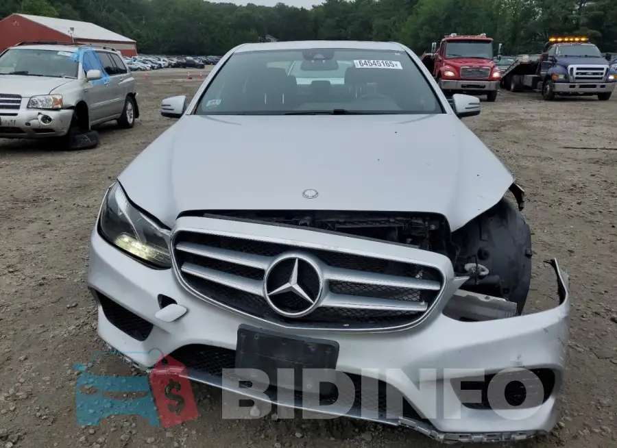 WDDHF8JB6GB238942 Photo# 5
