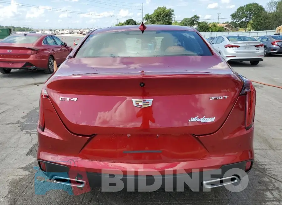1G6DB5RK1P0121887 Photo# 6