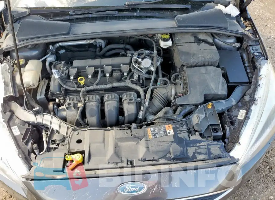1FADP3F23HL332523 Photo# 11