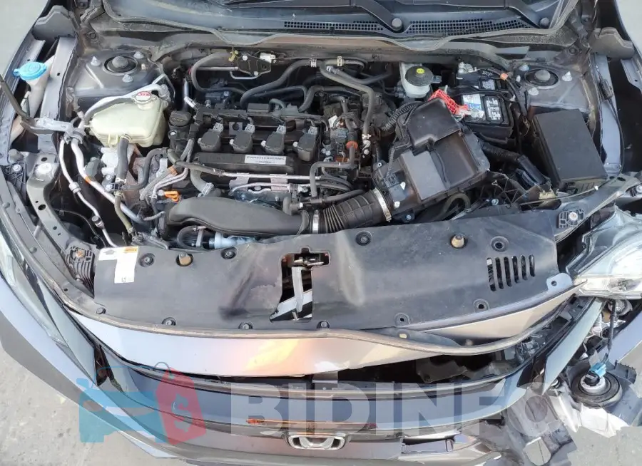 19XFC1F36LE012383 Photo# 11