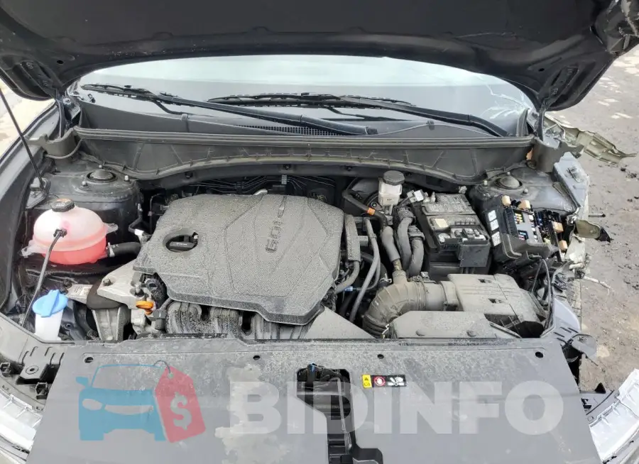 5NMJACDE1RH353613 Photo# 12