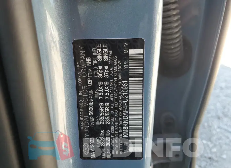 KM8KNDAF4PU210961 Photo# 13