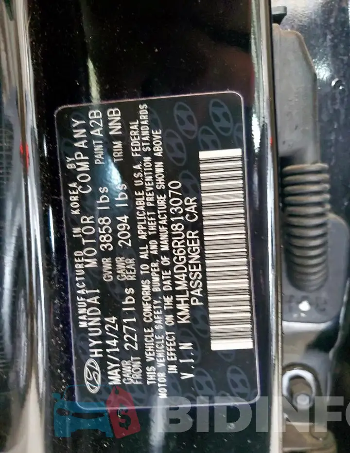 KMHLM4DG6RU813070 Photo# 12