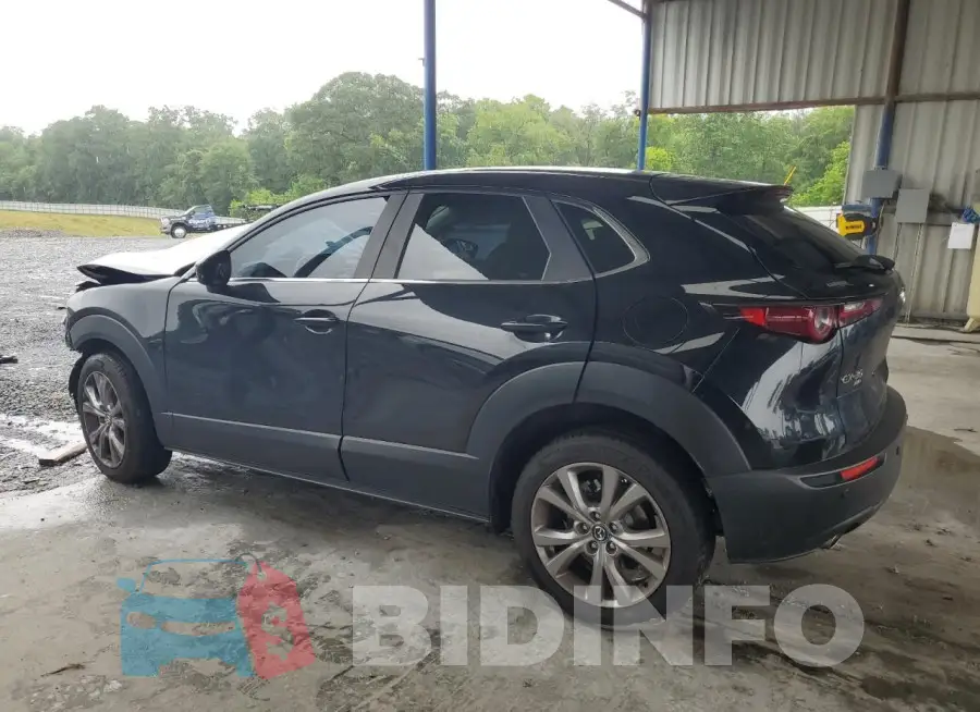 3MVDMBCL9MM249096 Photo# 2