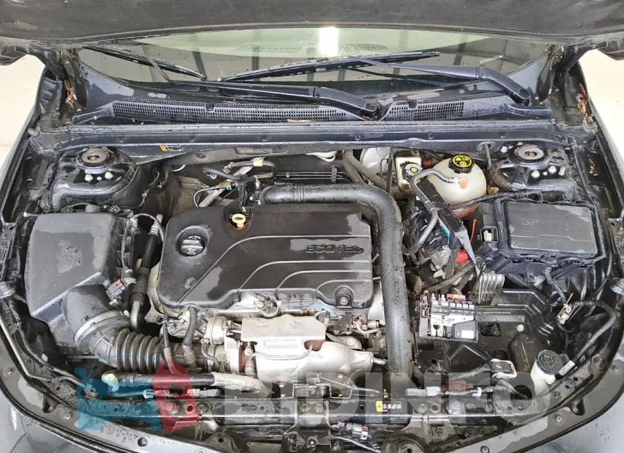 1G1ZB5ST1JF281190 Photo# 11
