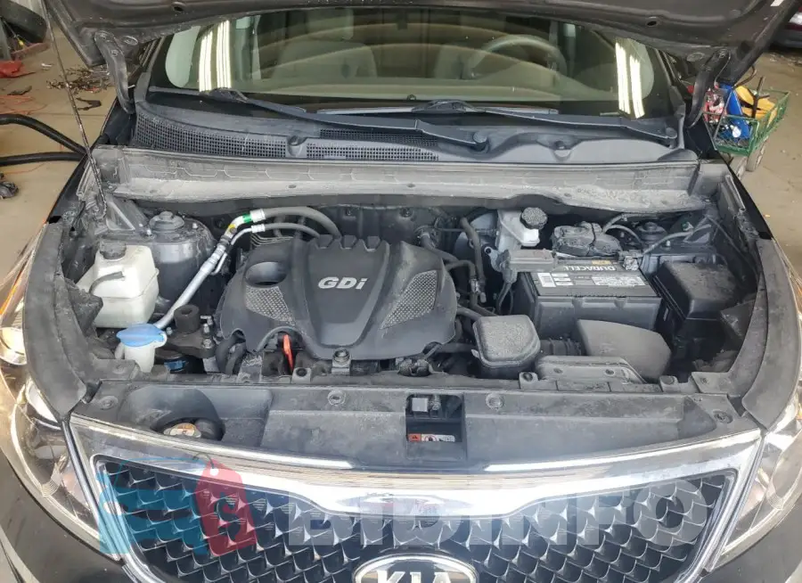 KNDPB3AC7G7870381 Photo# 12
