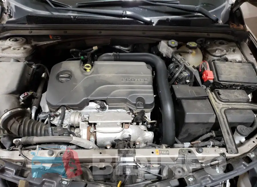 1G1ZD5ST4PF169941 Photo# 11