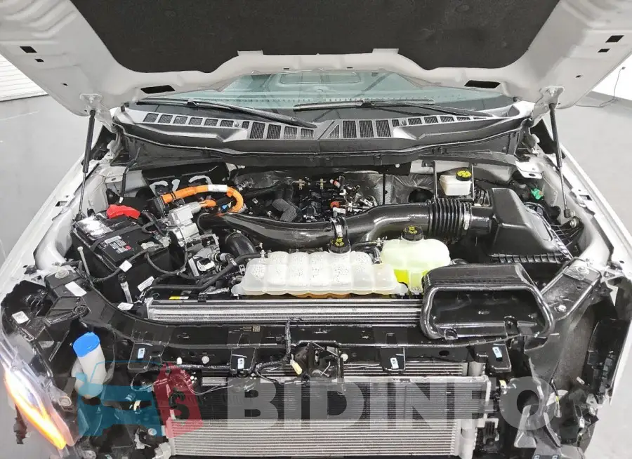 1FTFW3LD1RFA55253 Photo# 11