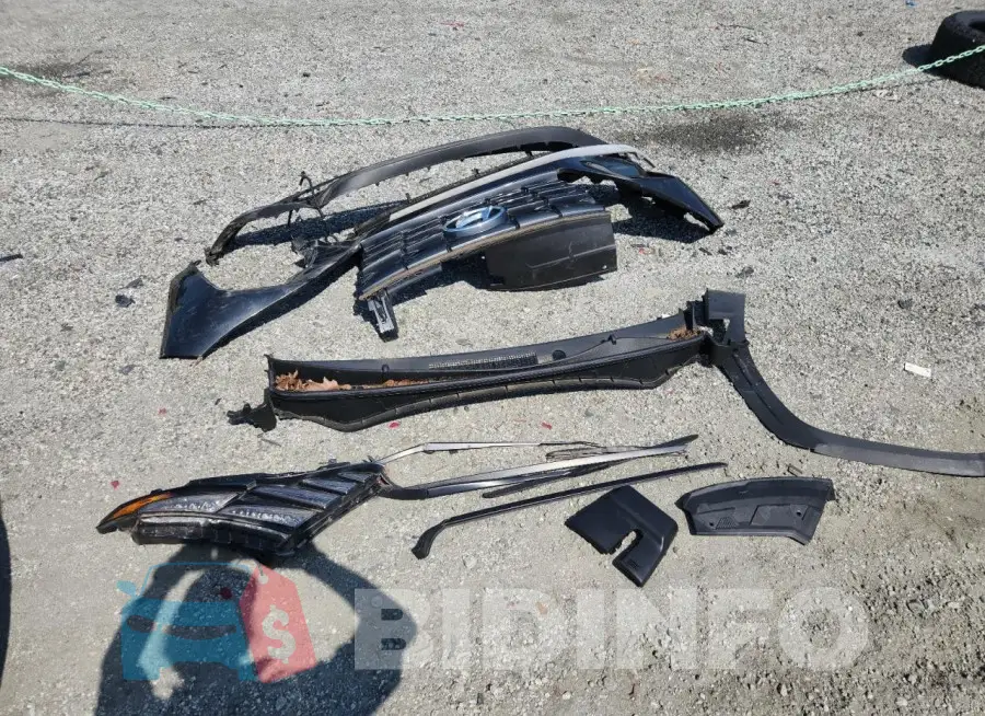 5NMJF3AE9PH180278 Photo# 13