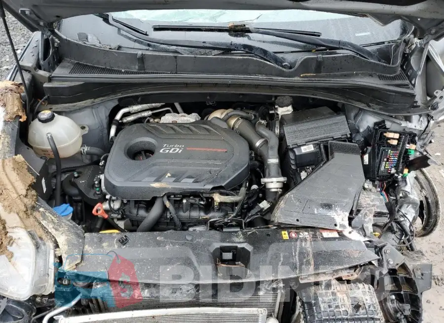 KNDPRCA69M7895929 Photo# 12