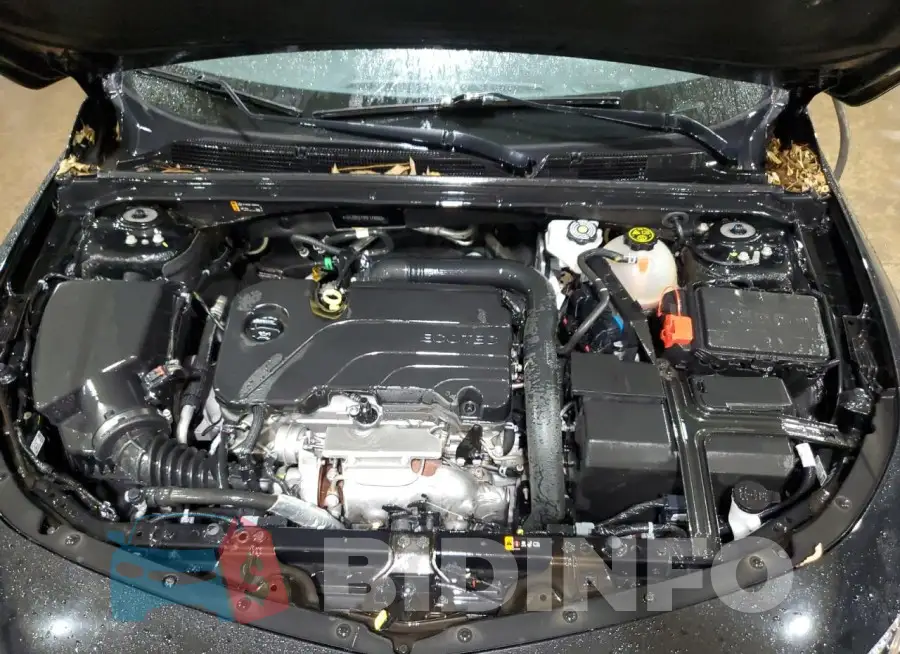 1G1ZD5ST9RF178993 Photo# 11