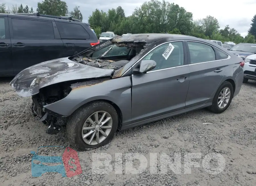 5NPE24AF5KH763017 Photo# 1