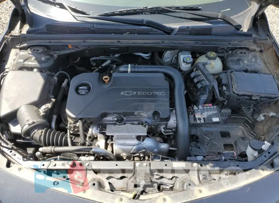 1G1ZB5ST1HF248233 Photo# 11