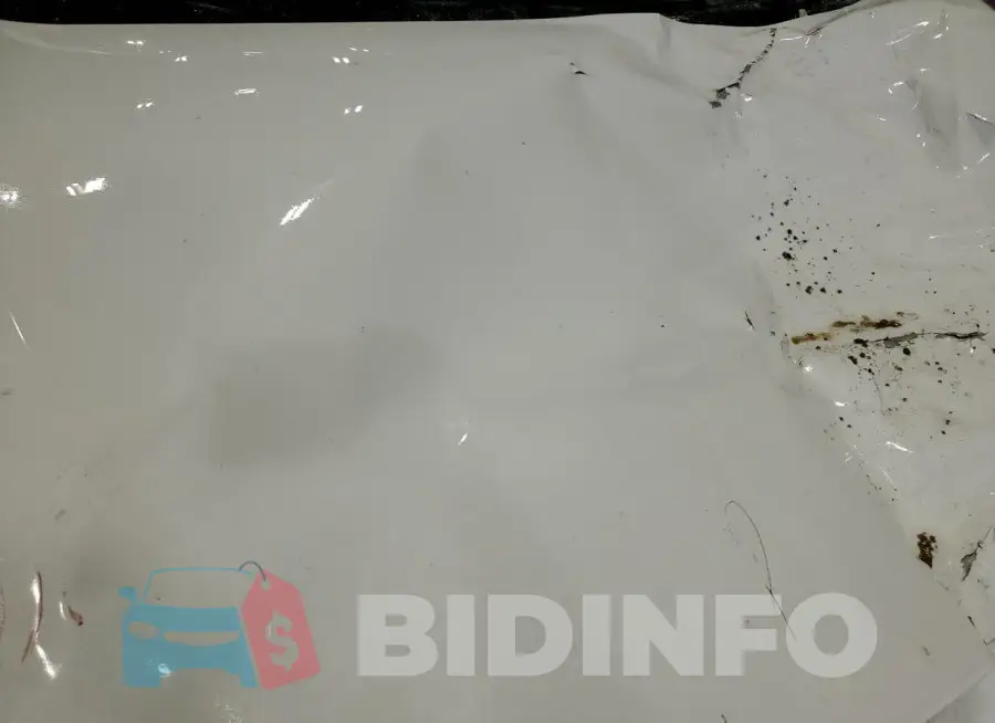 1G1ZD5ST6MF071893 Photo# 11