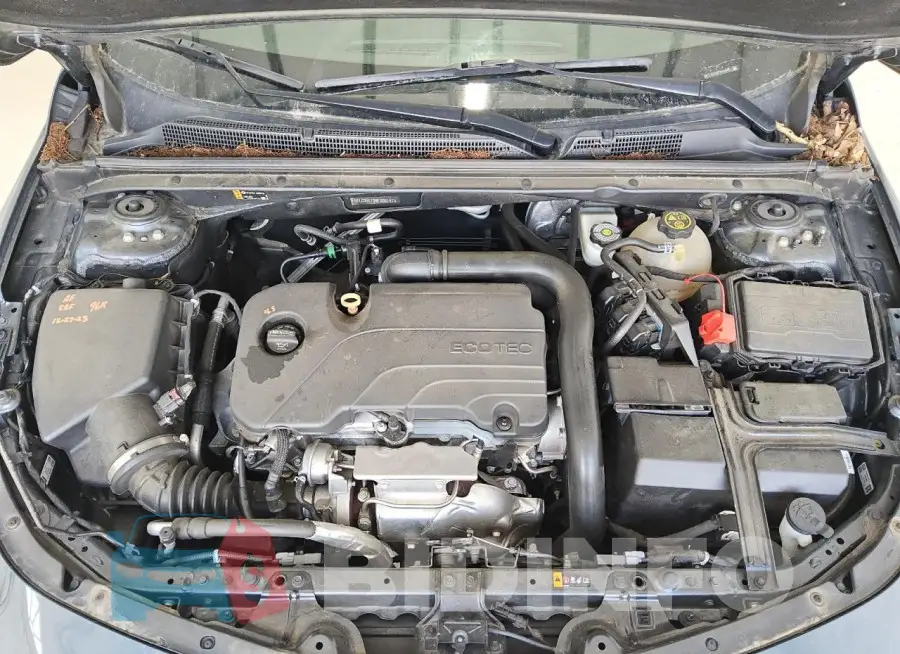 1G1ZD5ST9MF006147 Photo# 11