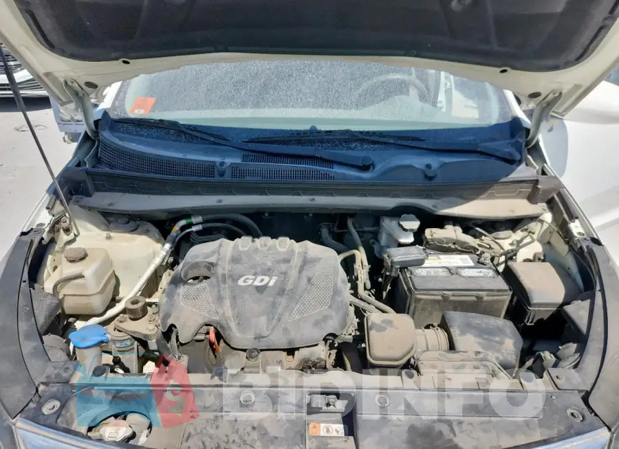KNDPB3AC6G7798587 Photo# 11