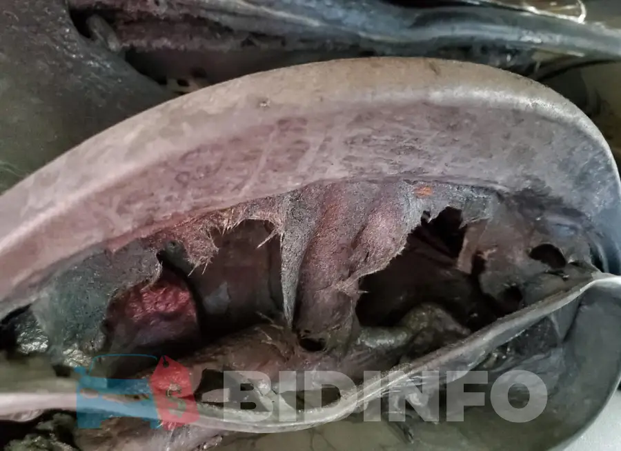 KNDPMCAC4J7377257 Photo# 9