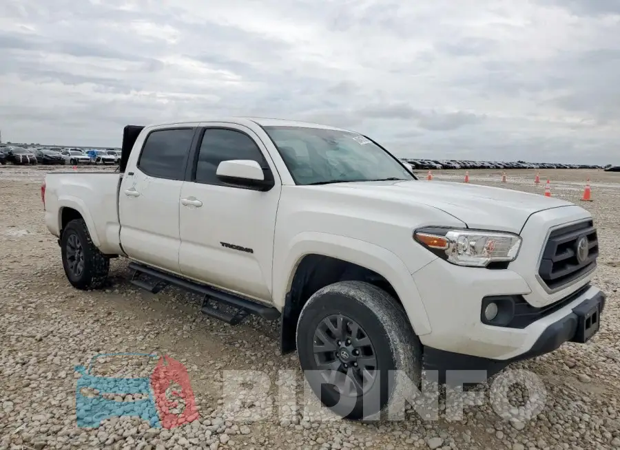 3TMBZ5DN9MM028870 Photo# 4