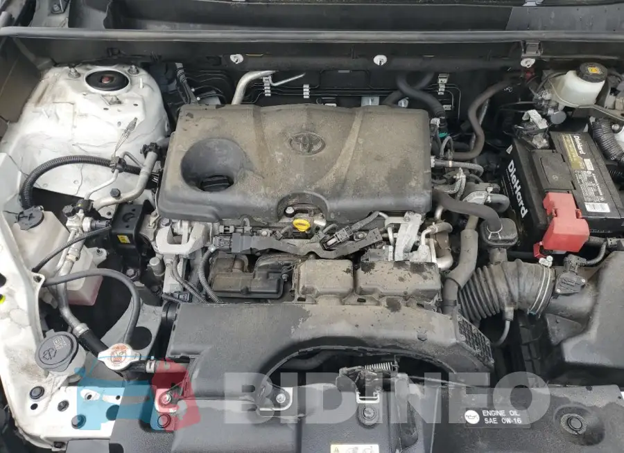 JTMF1RFV5KD505316 Photo# 12