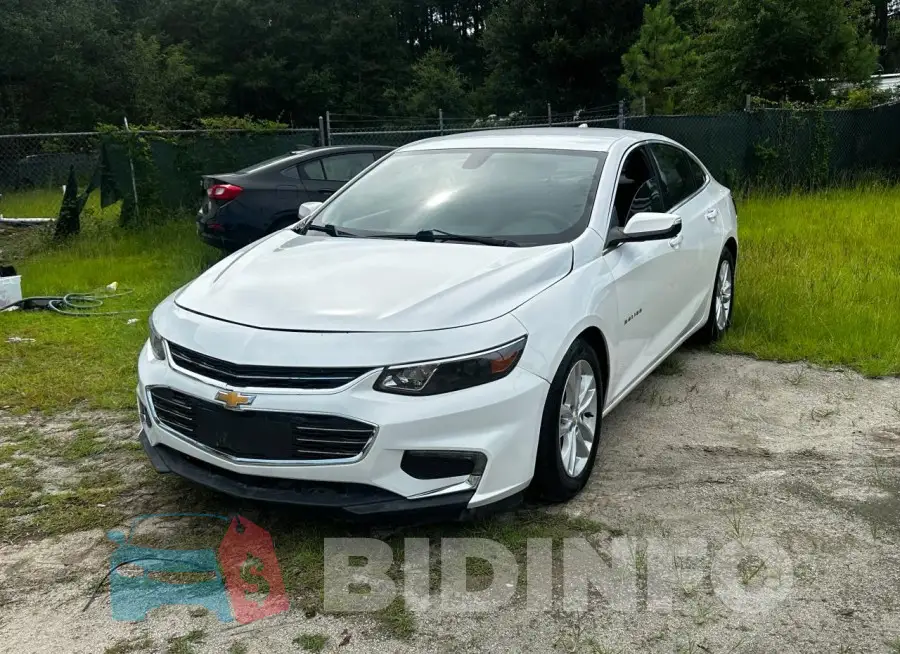 1G1ZD5ST0JF244187 Photo# 1