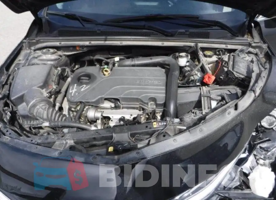 1G1ZD5ST5LF140328 Photo# 11