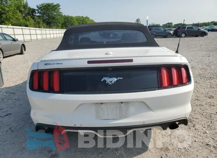 1FATP8UH3G5273704 Photo# 6