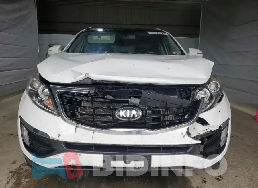 KNDPCCA68G7876407 Photo# 5