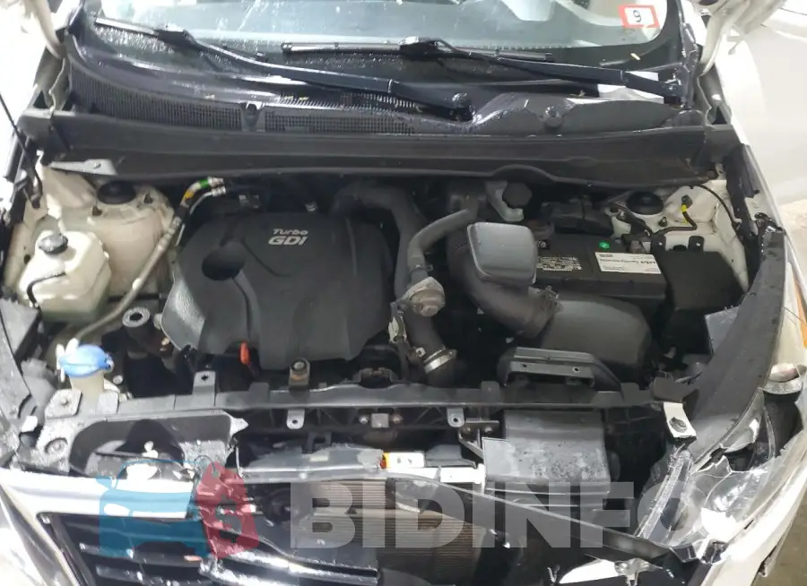KNDPCCA68G7876407 Photo# 12