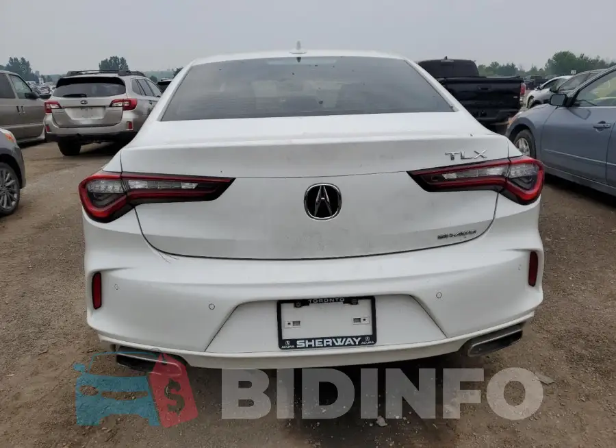 19UUB6F44MA801699 Photo# 6