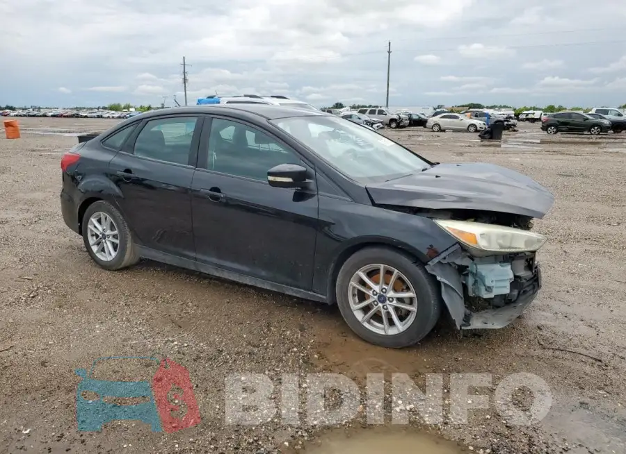 1FADP3F28GL293409 Photo# 4