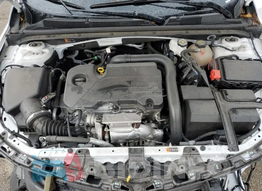 1G1ZD5ST1RF215230 Photo# 11