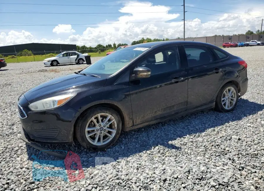1FADP3F26GL406743 Photo# 1
