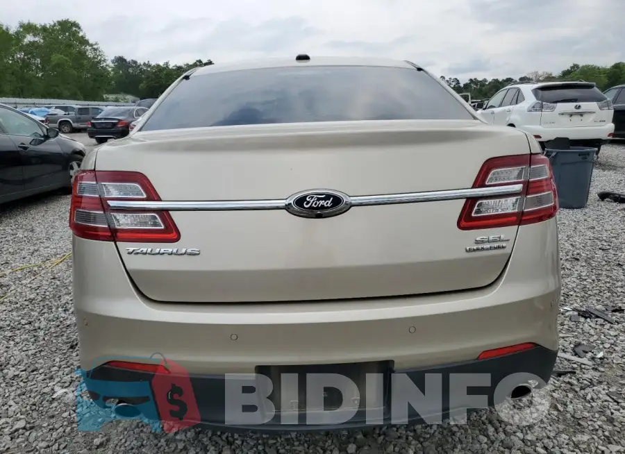 1FAHP2E80HG110211 Photo# 6