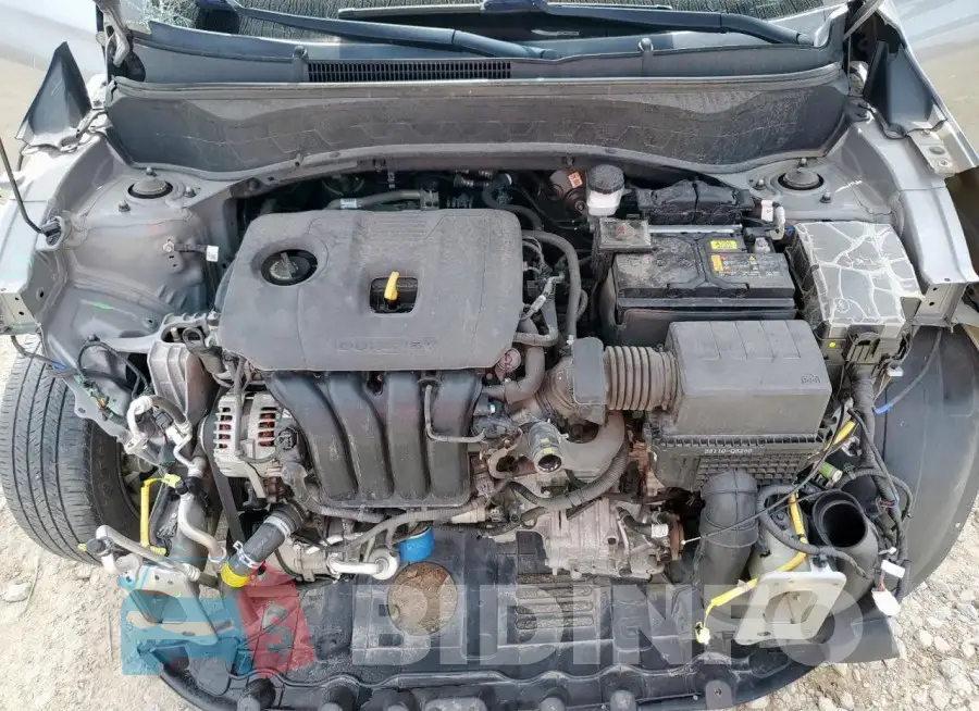 KNDERCAA1M7167517 Photo# 12