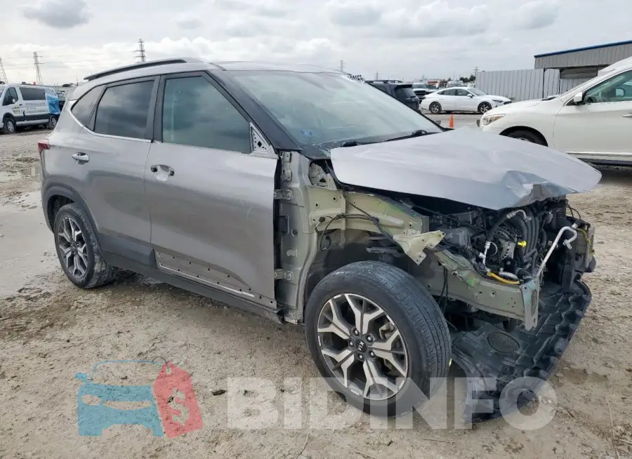 KNDERCAA1M7167517 Photo# 4