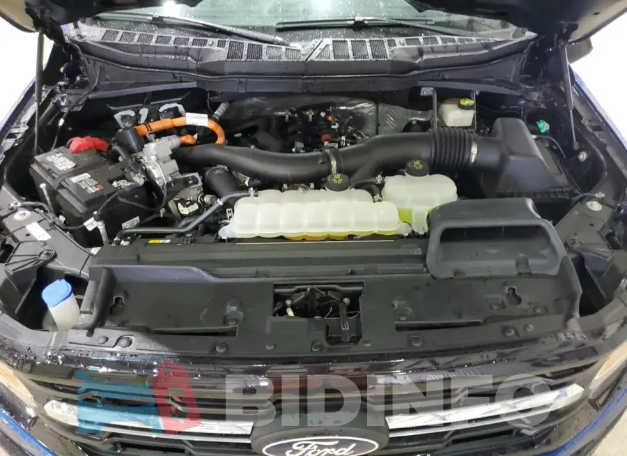 1FTFW3LD0RFB16916 Photo# 11