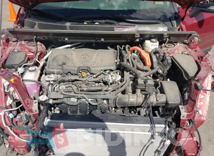 JTMB6RFV3PD094487 Photo# 12