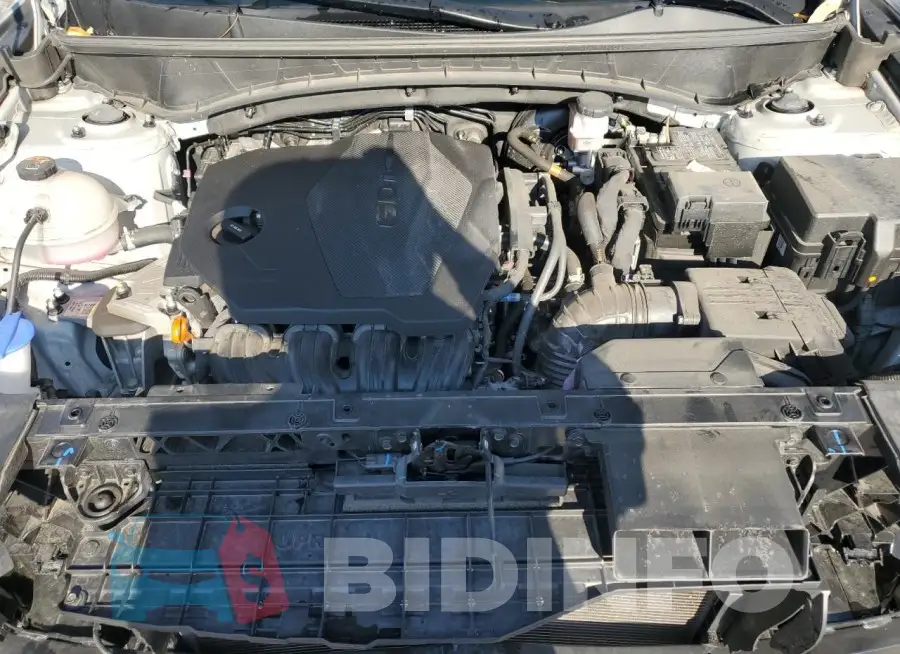 5NMJBCDE5RH387633 Photo# 12