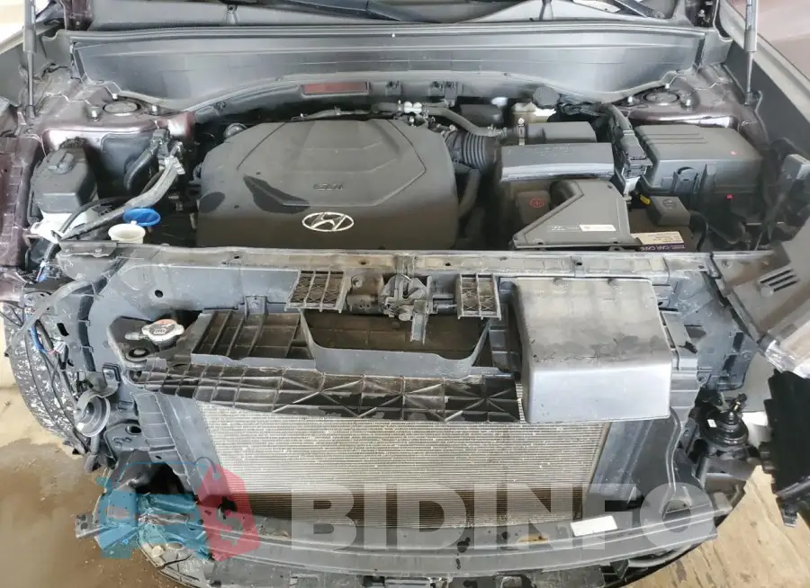 KM8R4DHEXLU167221 Photo# 11