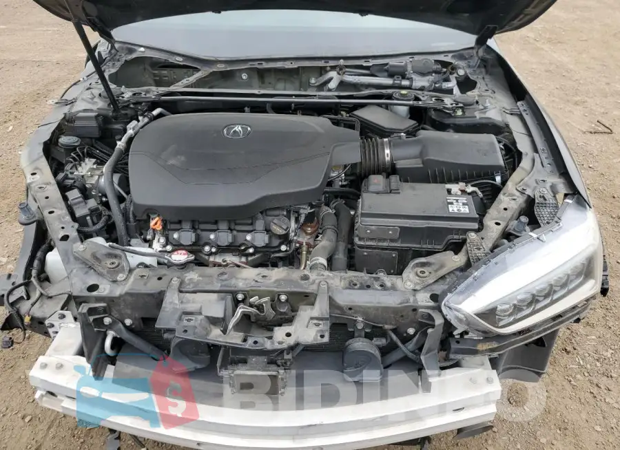 19UUB2F35KA001149 Photo# 11