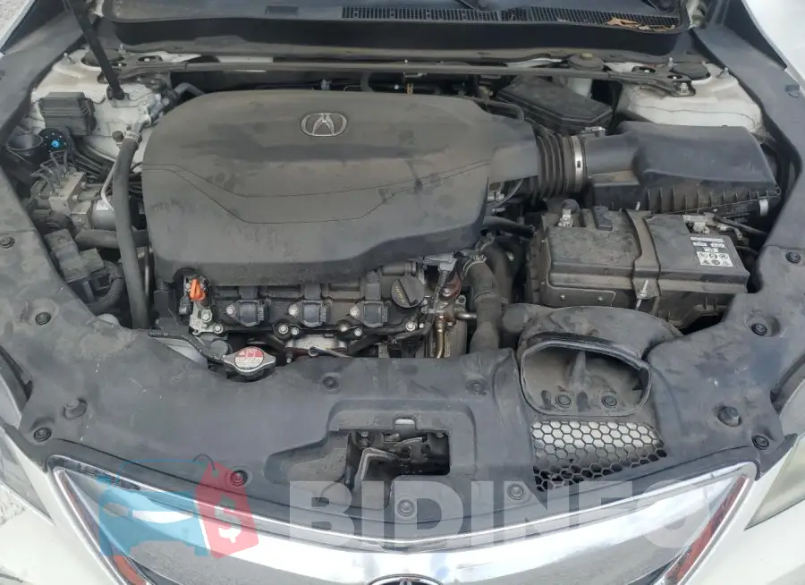 19UUB2F59GA008582 Photo# 11