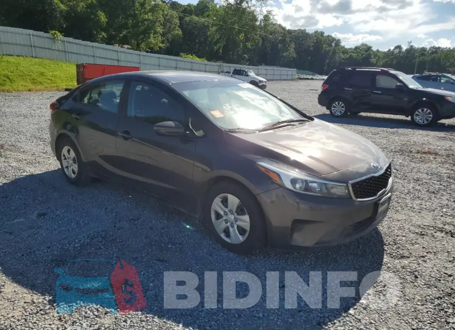 3KPFL4A74HE091166 Photo# 4