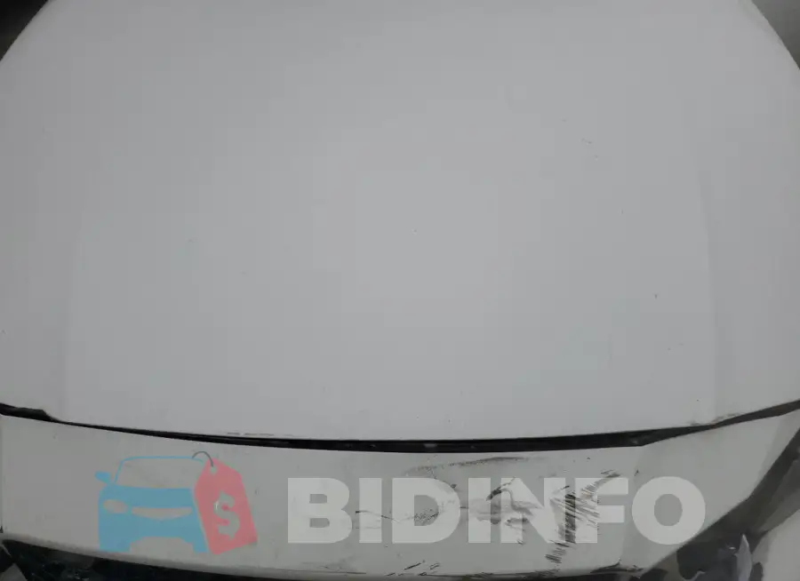 1N4BL4BV5KC251684 Photo# 11