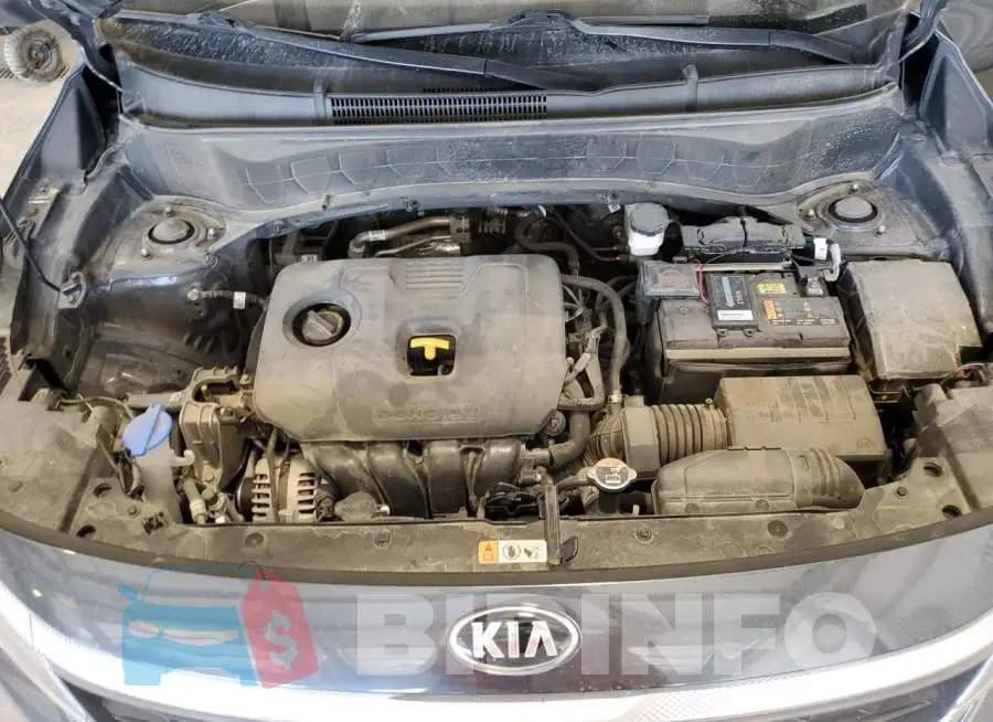 KNDEU2AA5M7197113 Photo# 12