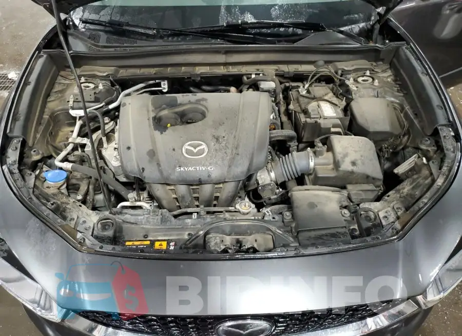 3MVDMBCL9MM234257 Photo# 12