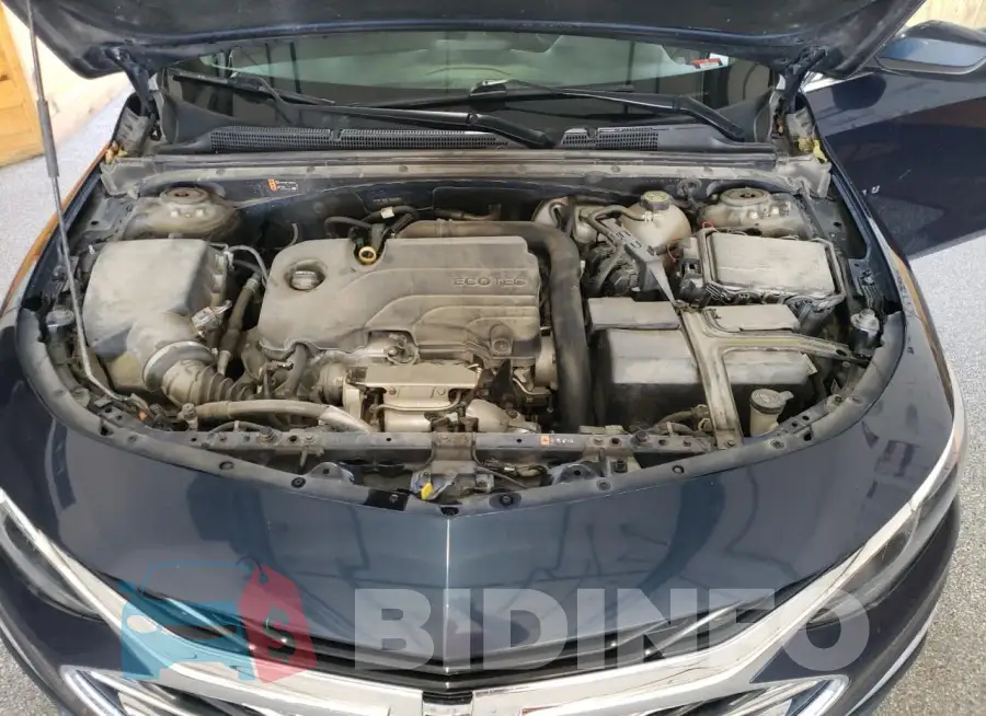 1G1ZD5ST0KF181674 Photo# 11