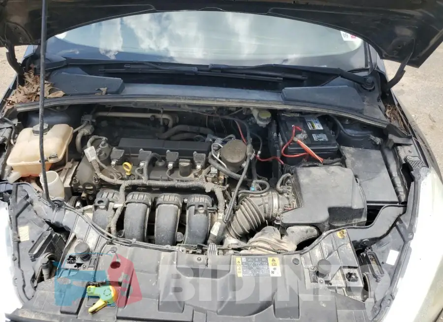 1FADP3E29GL256922 Photo# 11