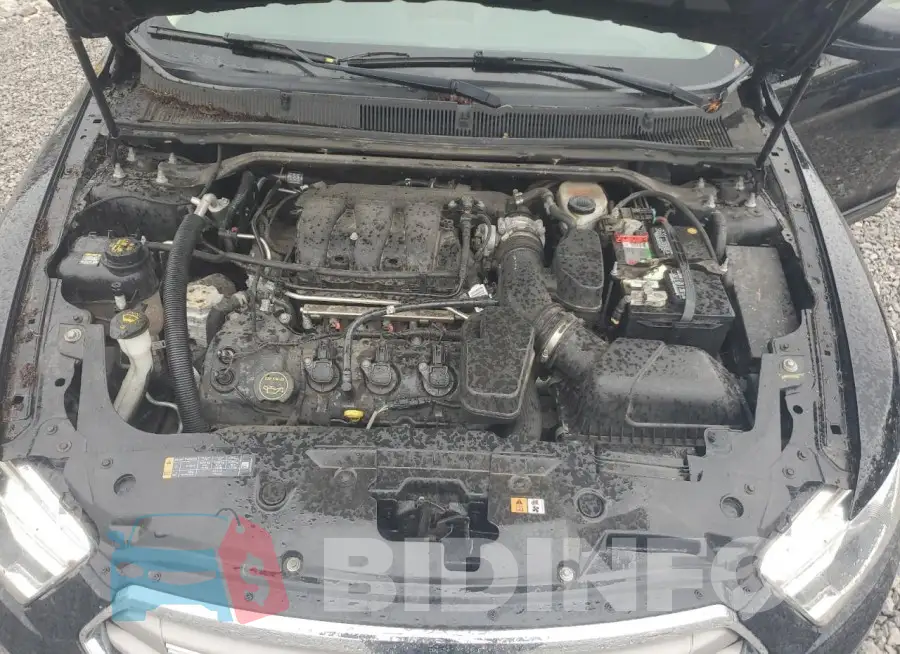 1FAHP2D88GG109890 Photo# 11