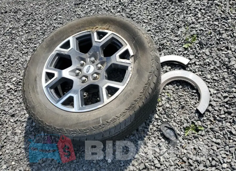 1FTEW2LP8RKE46519 Photo# 12