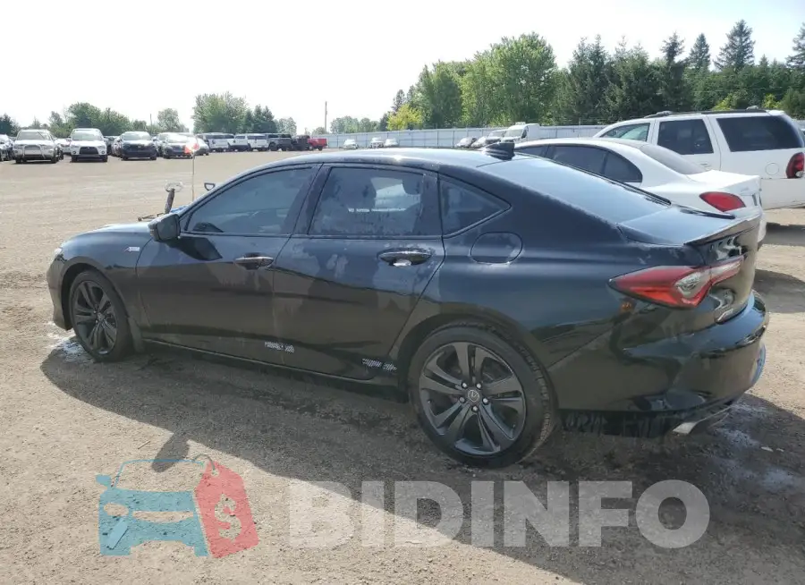 19UUB6F57MA802256 Photo# 2